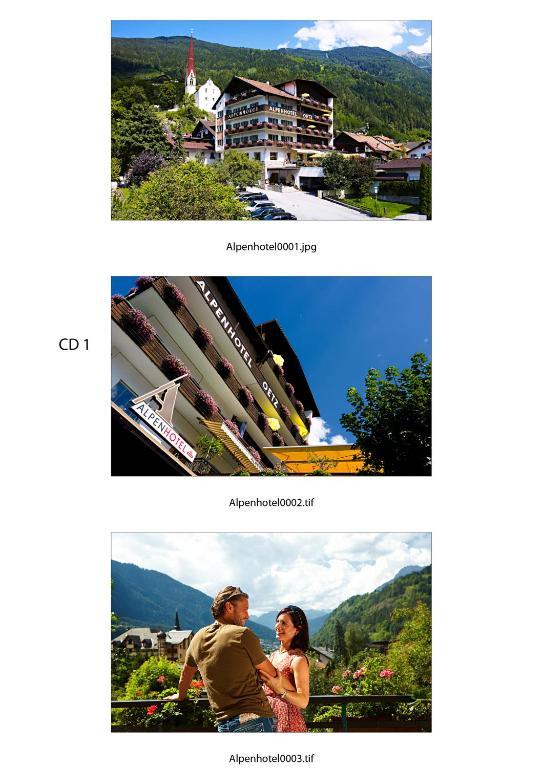 Hotel Alpenhotel Oetz