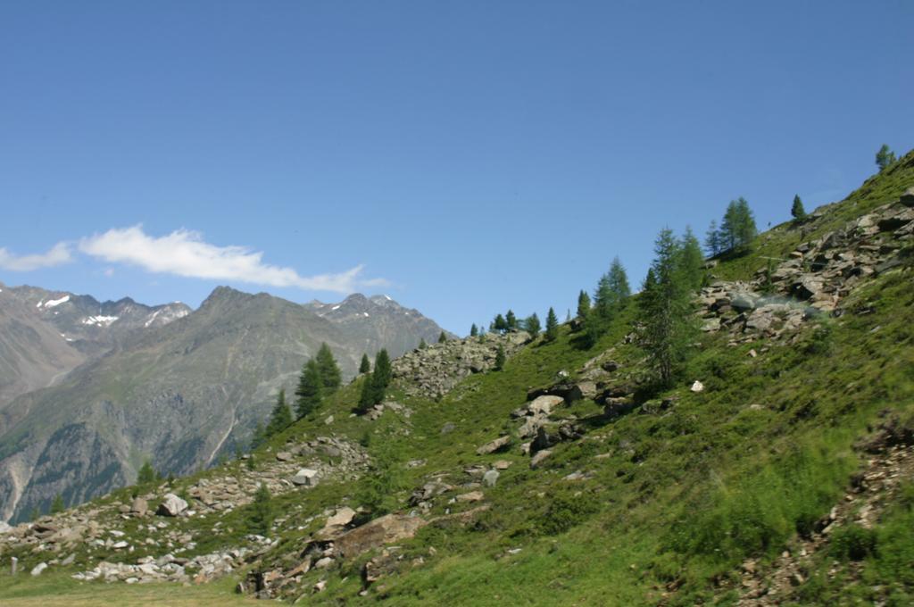 Hotel Alpenhotel 2*